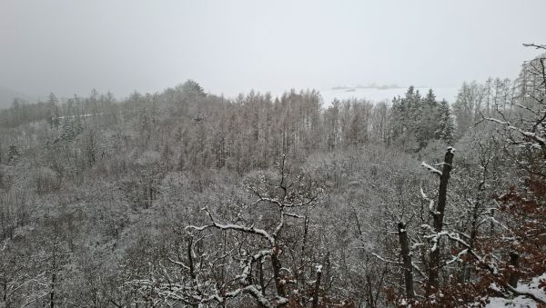 pohled ke statku Novina